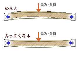 松丸太と真っ直ぐな木の比較