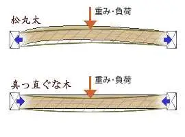 松丸太と真っ直ぐな木の比較